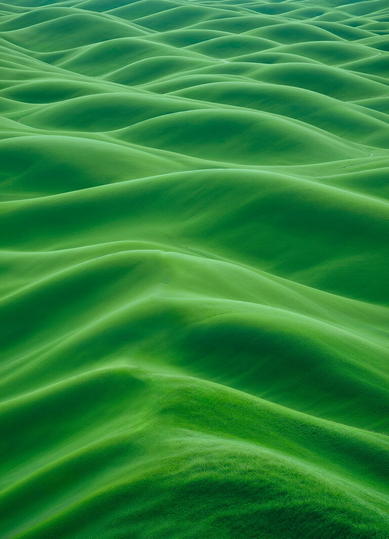 Minimalist landscape