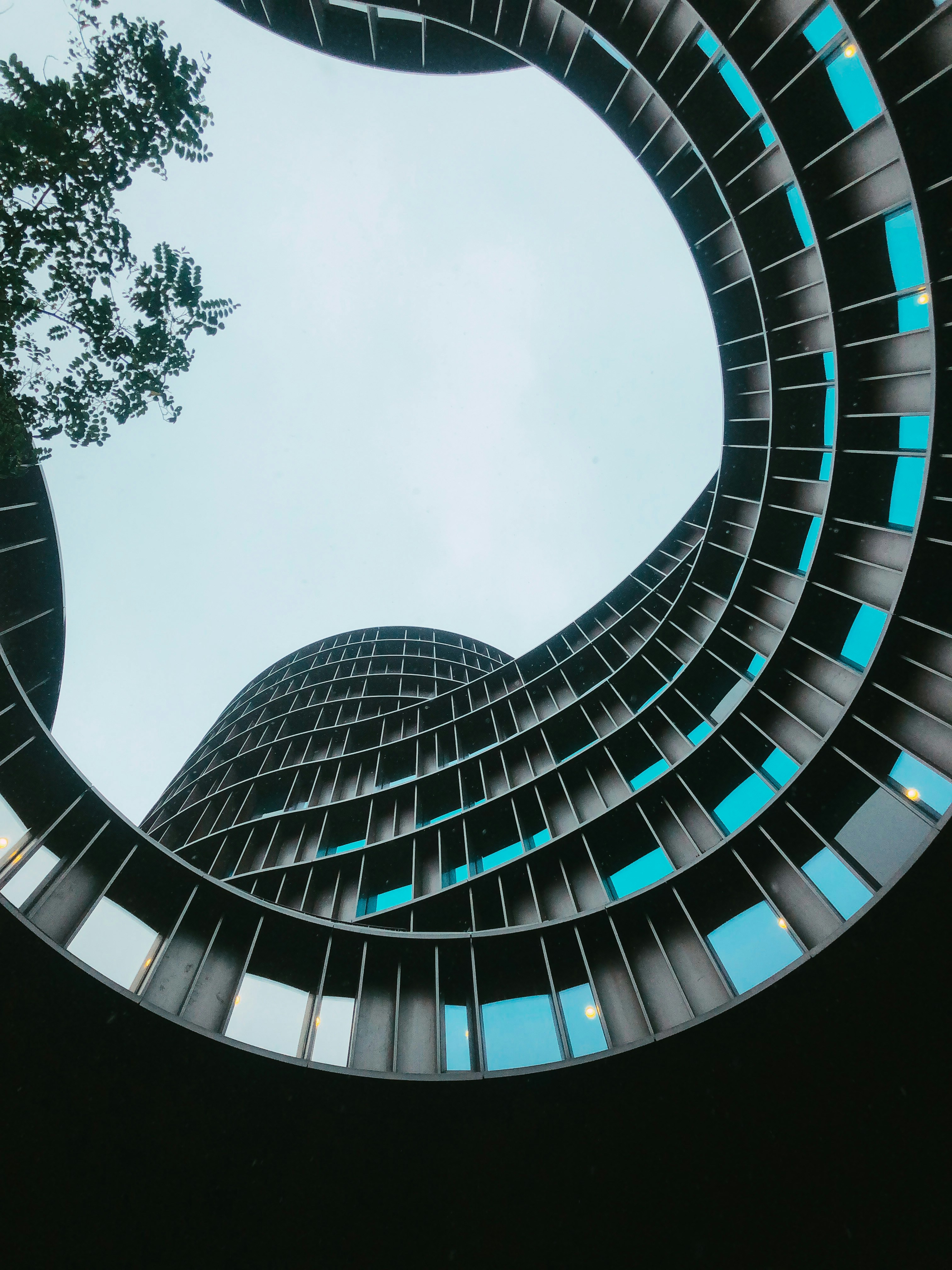 Curved modern building with blue windows viewed from below against a gray sky and a tree silhouette.