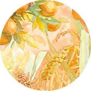 SLOWAVE Citrus Millet Wine Introduction 漫流勻柳粟酒介紹