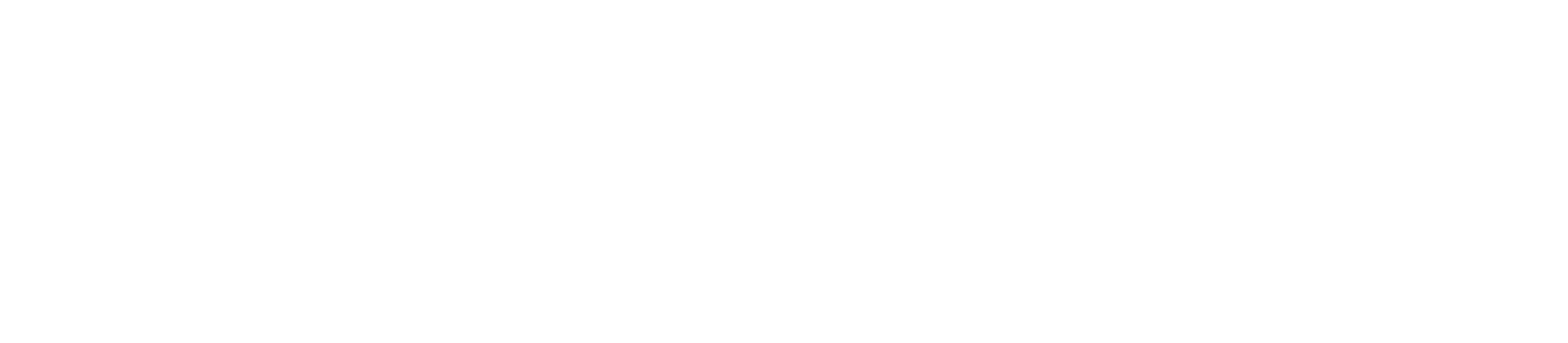 Big Logo Image