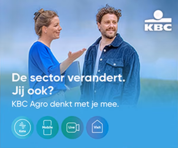 KBC sector