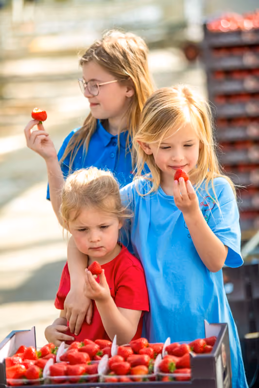 Welroy Fruit jongste generatie