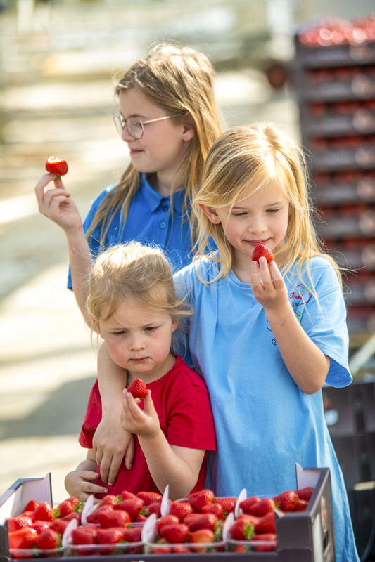 Welroy Fruit jongste generatie