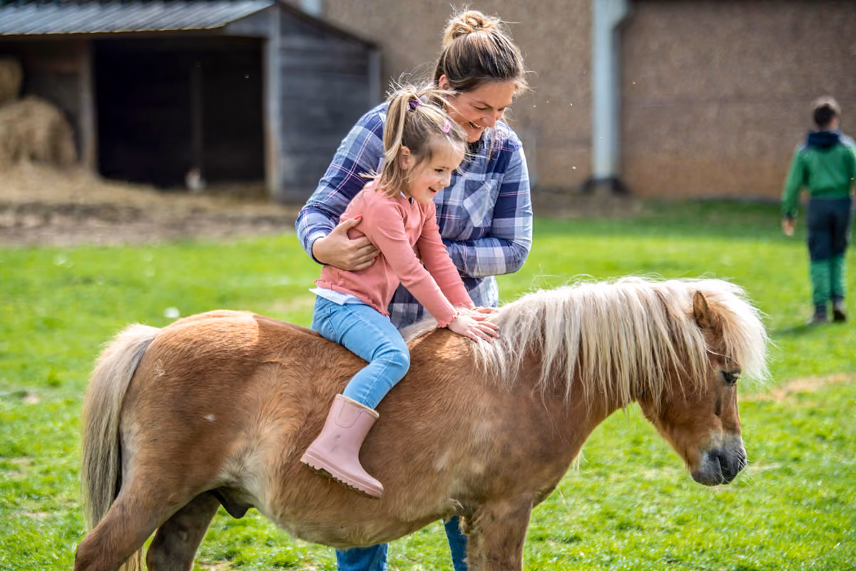 Boerderij in 't Kamp