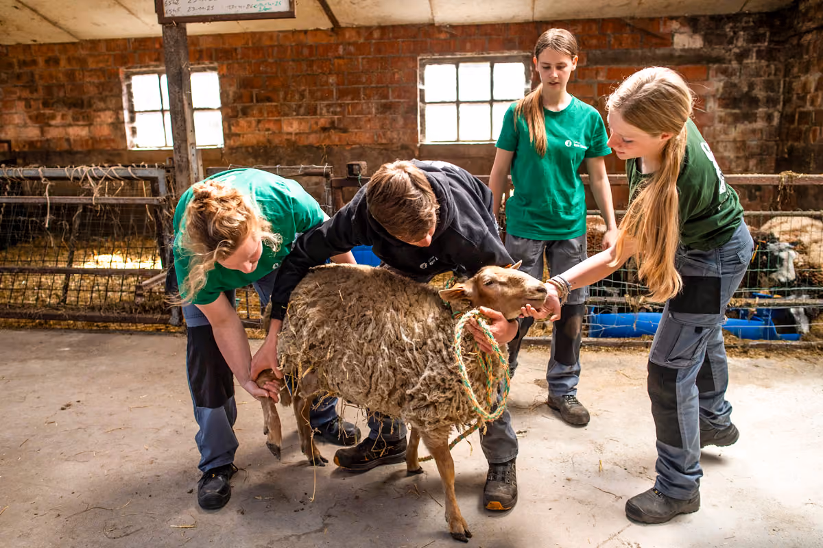 Schoolhoeve College ten Doorn leerkrachten