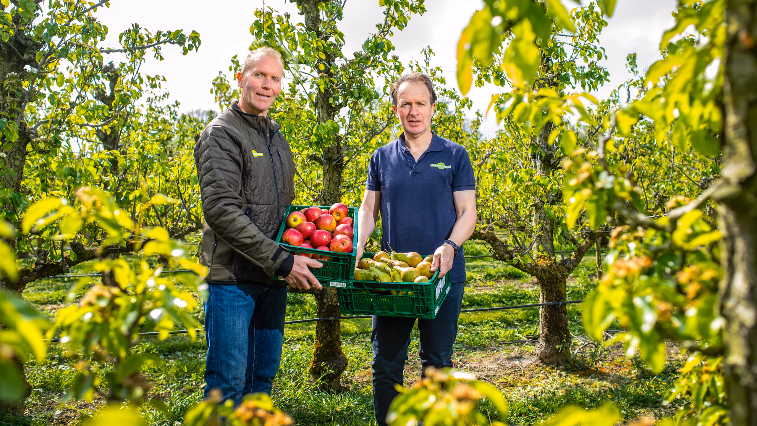 Fruitbedrijf Van der Velpen