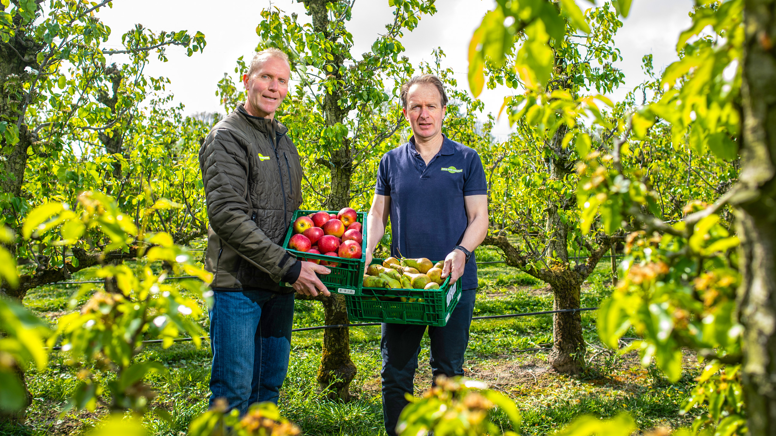 Fruitbedrijf Van der Velpen