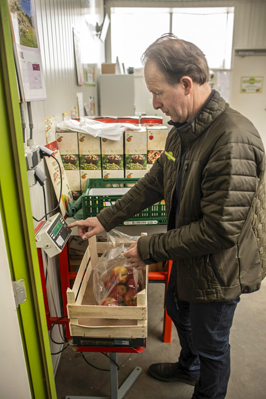 Fruitbedrijf Van der Velpen appels en peren