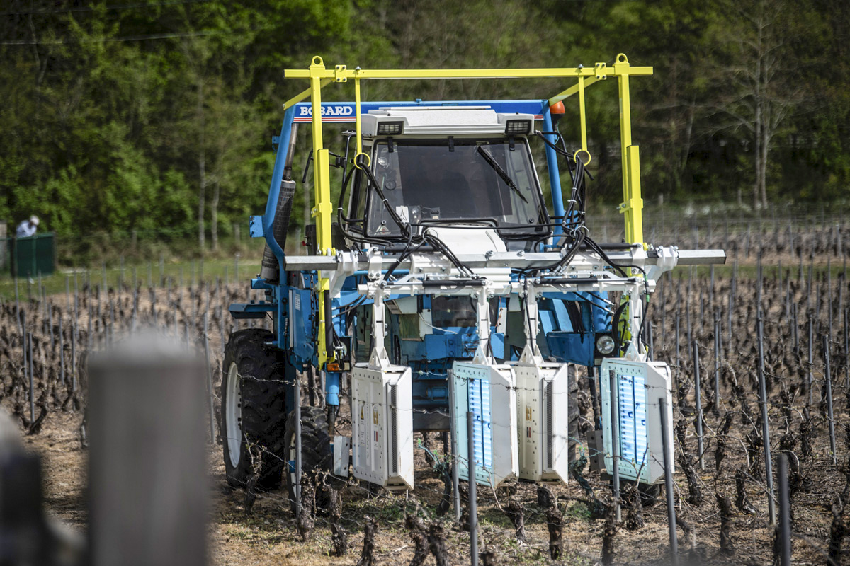 Chardonnay Meerdael innovatie