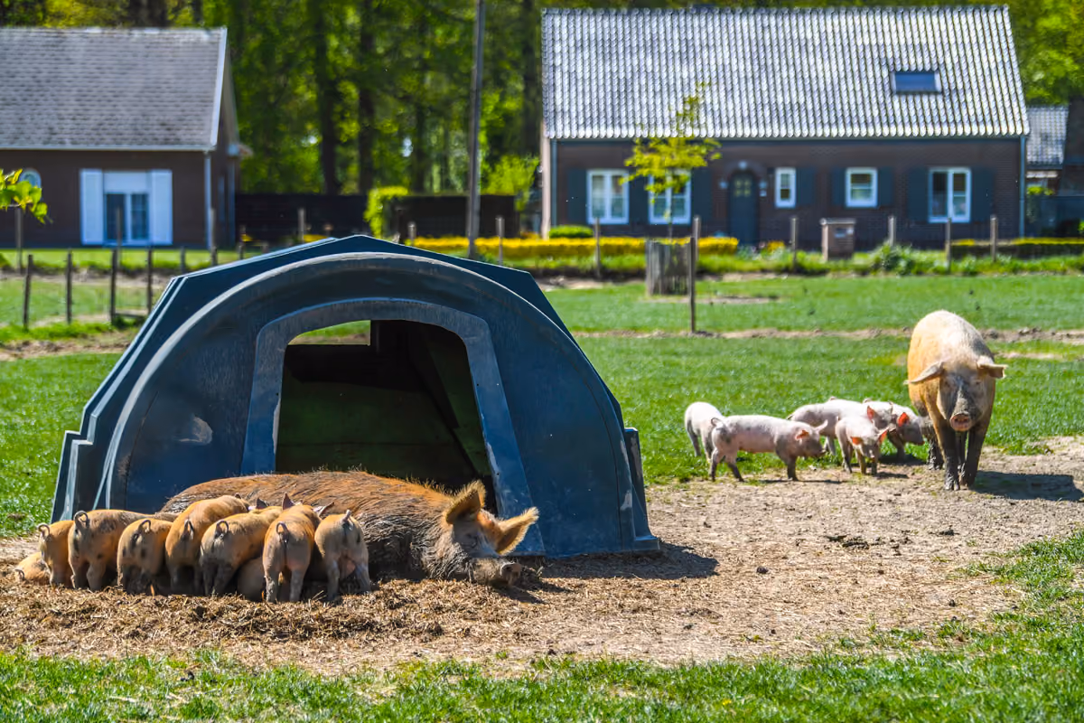 SDB Boerderij Korte Keten
