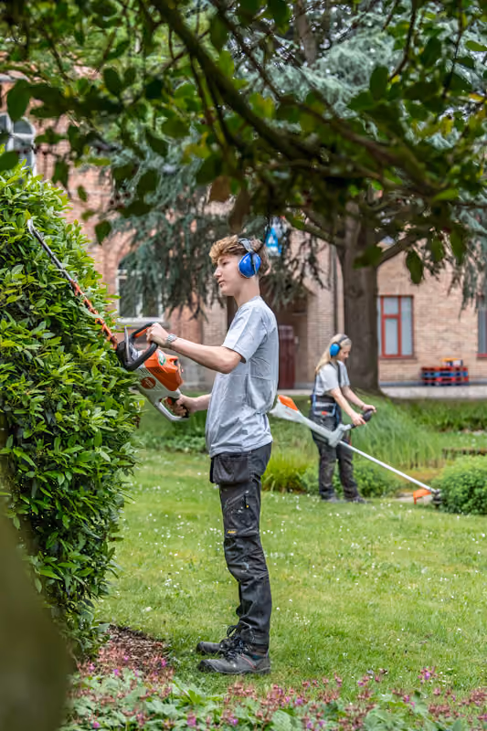 Scheppersinstituut Wetteren Bomen