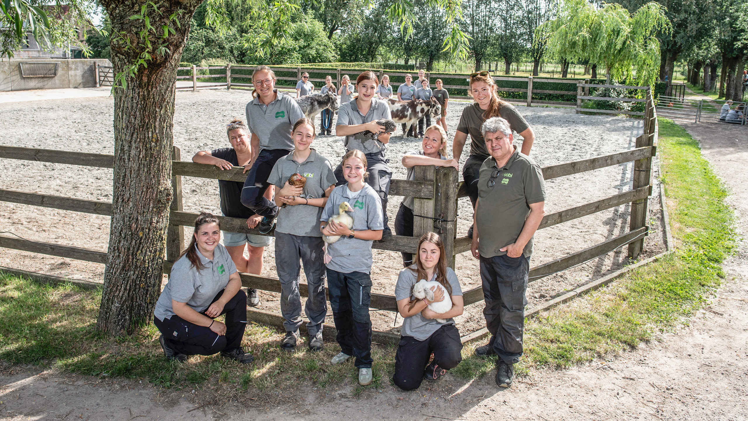 Daiselhoeve VABI