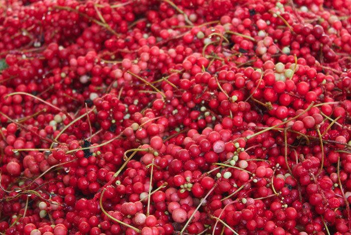 Organic Freeze Dried Schizandra Powder