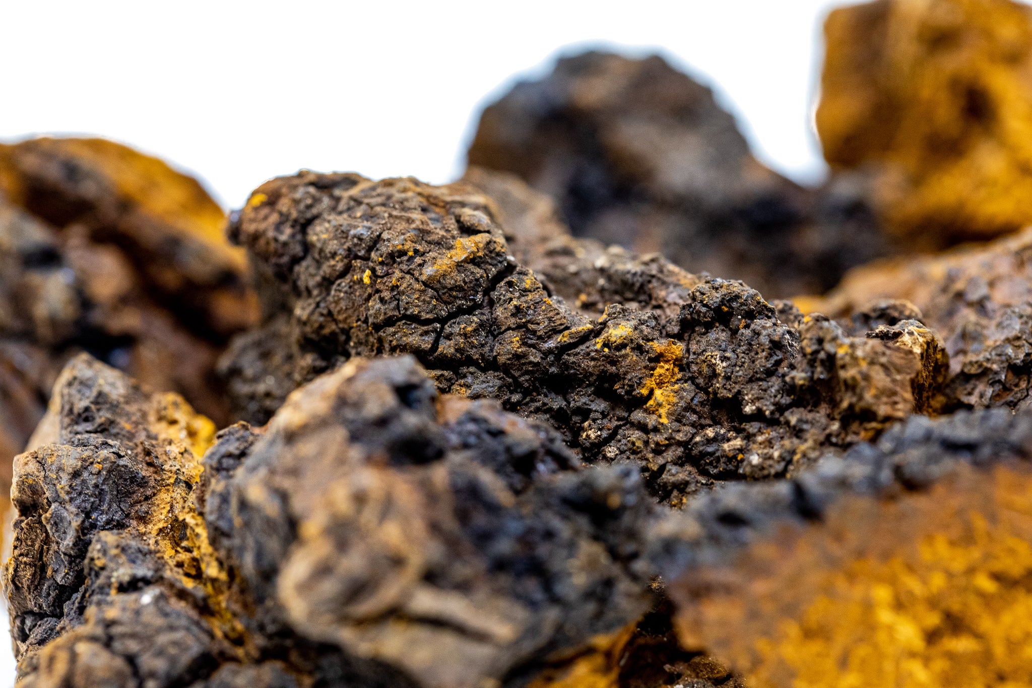 Chaga Proprietary Extracts