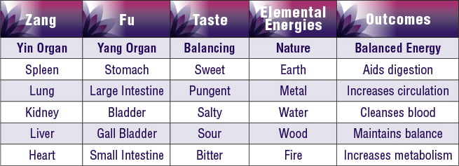 Schizandra Pure – Premium Adaptogen – Organic