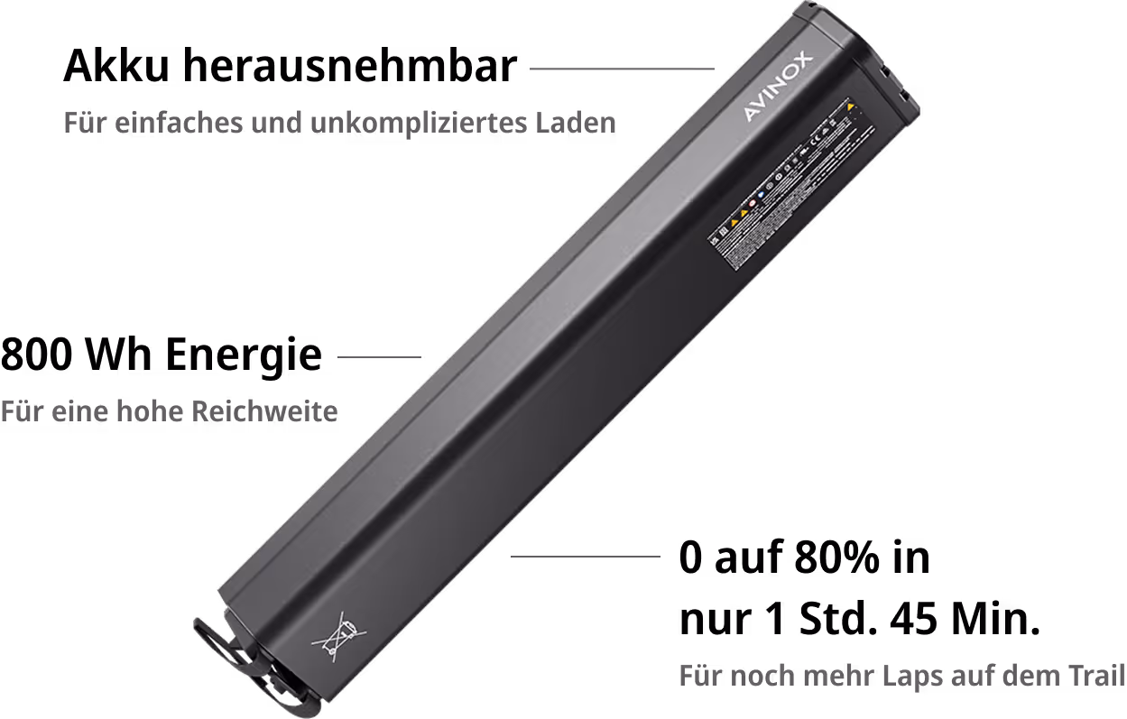 Avinox RS800 Batterie Infografik auf deutsch