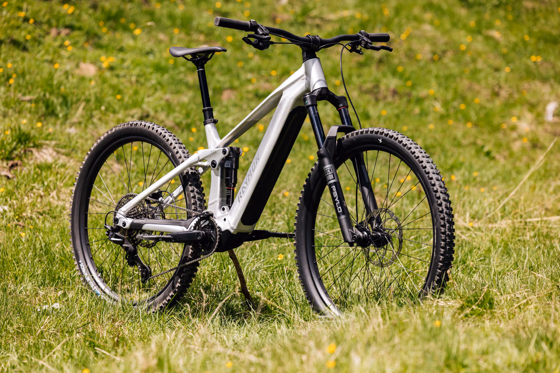 Silbernes Raymon Durok Bike stehend auf Gras