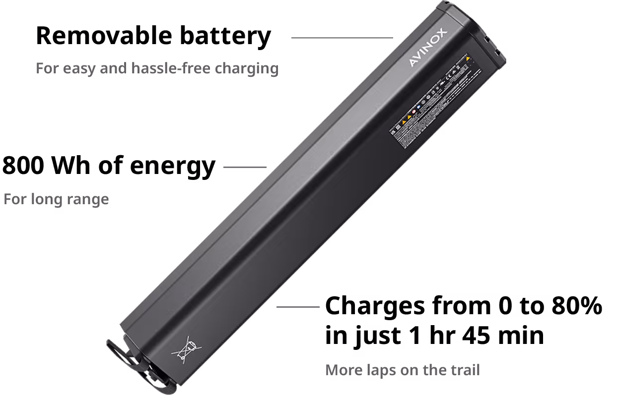 Avinox RS800 Batterie Infografik auf englisch