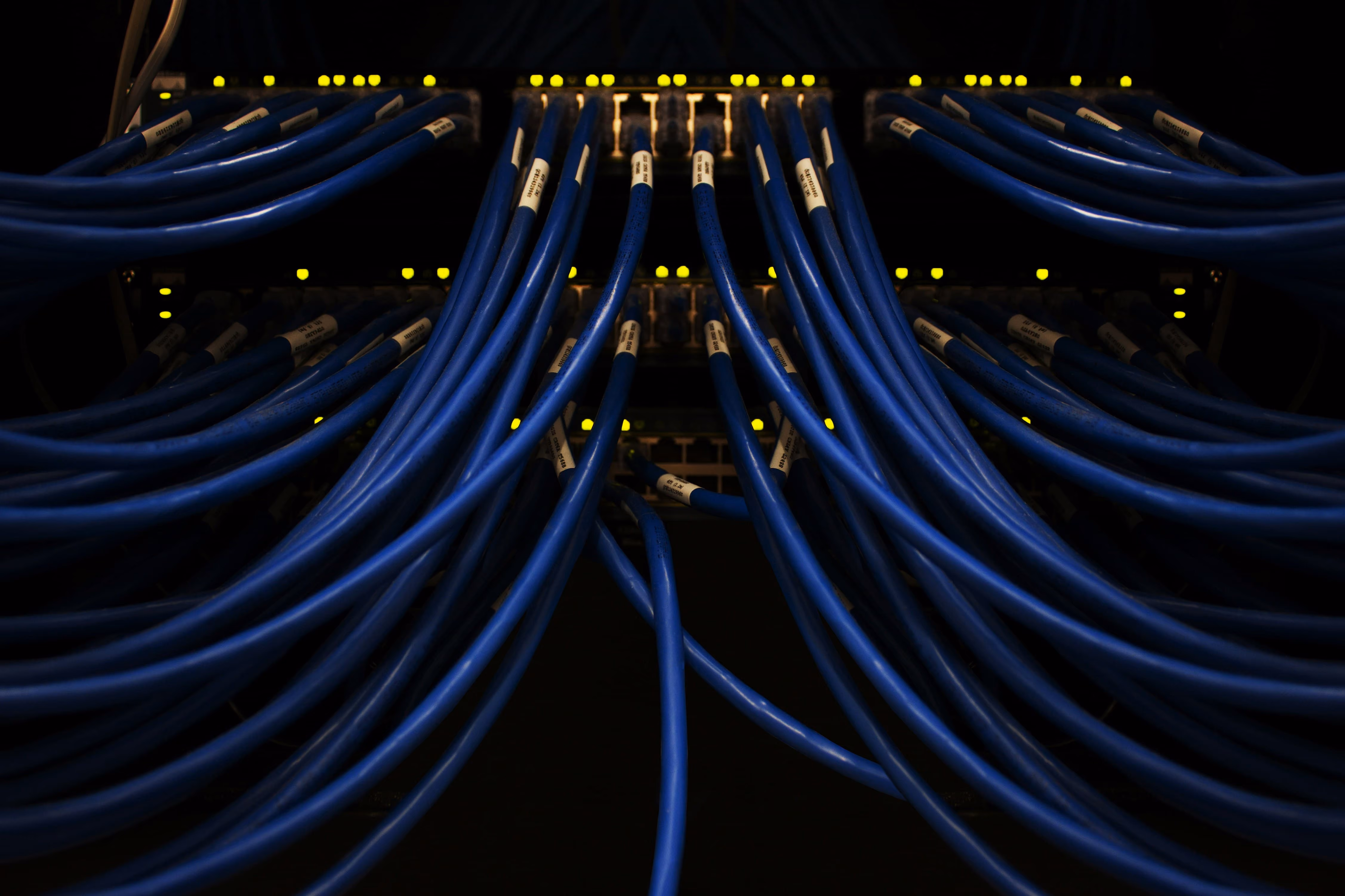 Patchkabels aangesloten op servers in een serverrack, bij pentesten bij IT- en technologiebedrijven