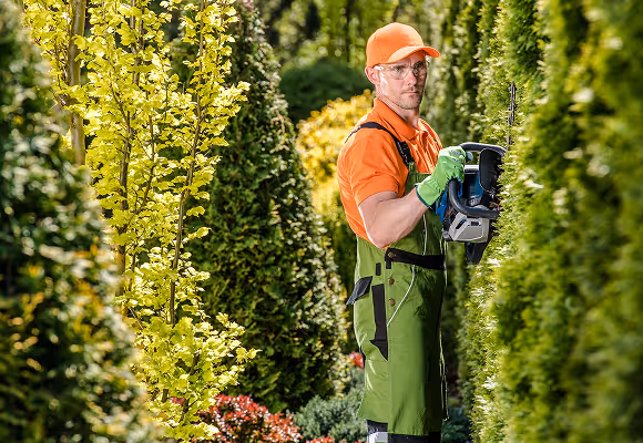 Jardinier taillant une haie avec un taille-haie électrique