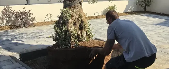 Couple de jardiniers souriants choisissant des plantes en serre