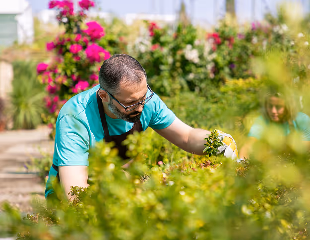Aménagement extérieur au fil des saisons — RK Aménagement