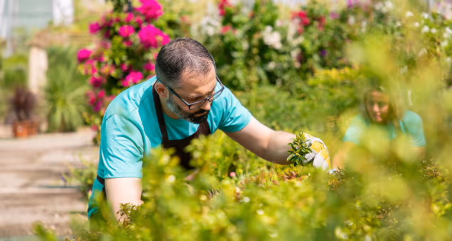 Jardin aménagé selon la saison — RK Aménagement