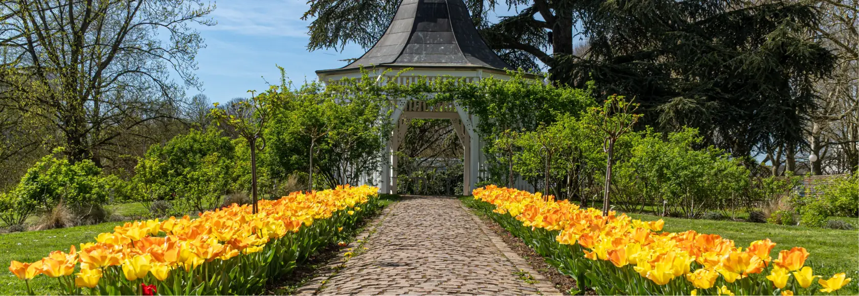 Aménagement paysager d'un jardin en Moselle par RK Aménagement