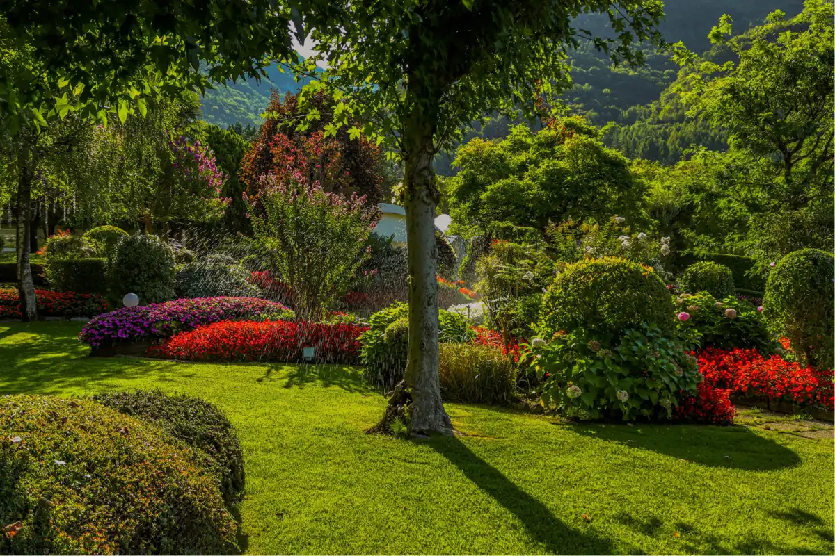 Massif et composition végétale d'un jardin paysager en Moselle