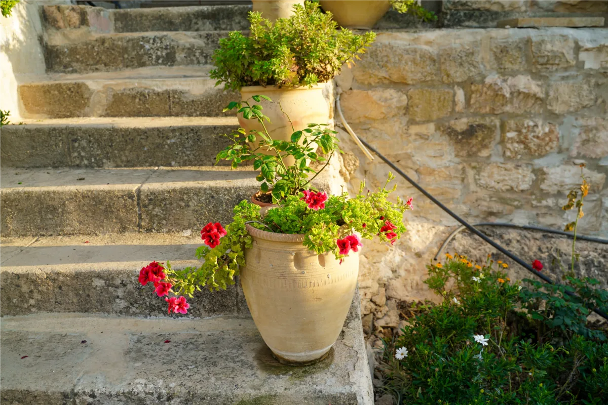 Marches d'escalier extérieur en pierre en Moselle