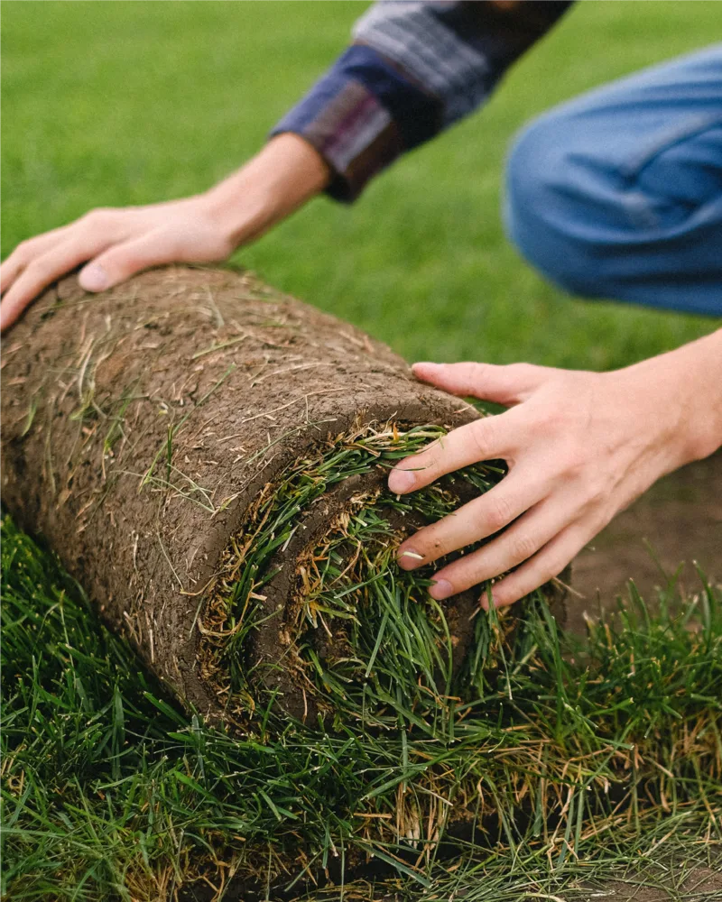 Plantation et engazonnement d'un jardin en Moselle