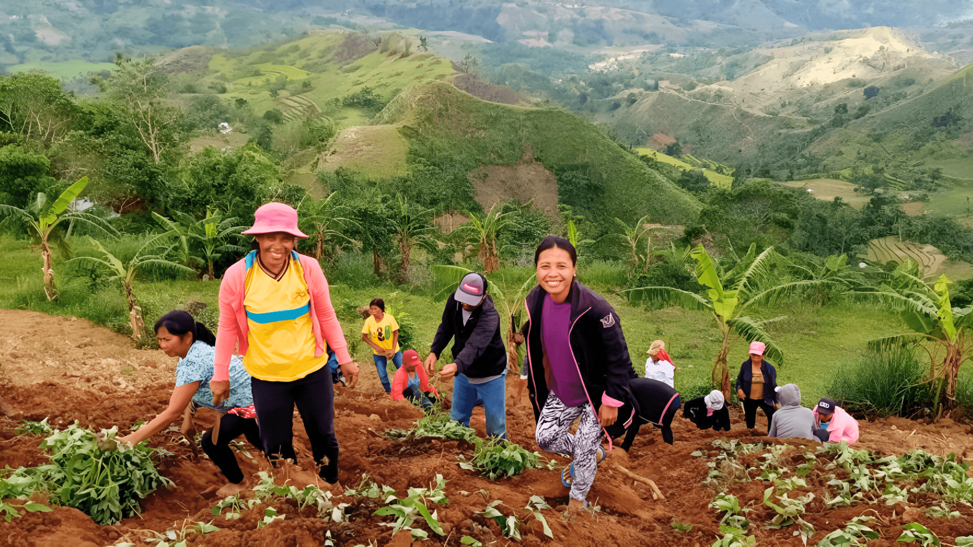 image of volunteerism in nature for an environmental conservation nonprofit