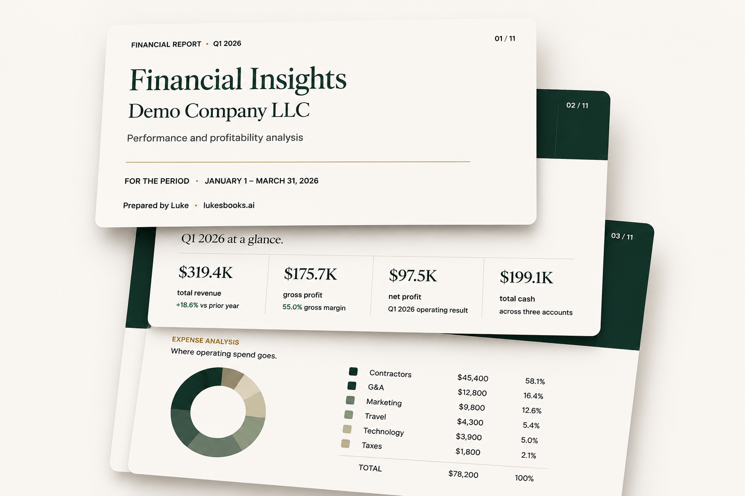 Luke sample financial report