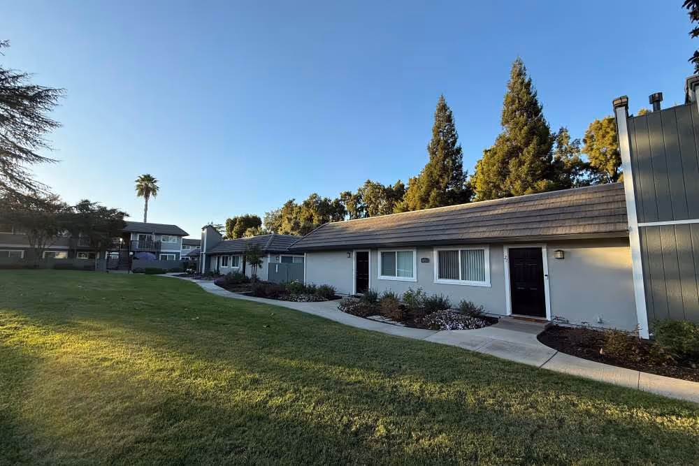 Exterior featuring greenery and palm trees