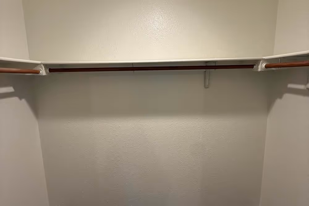 Closet with shelves