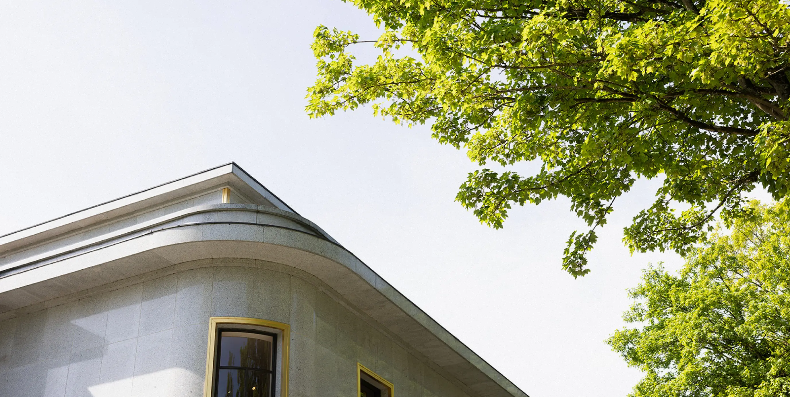 Curved corner of a gray building with gold-framed windows under a green tree on a clear sky day.
