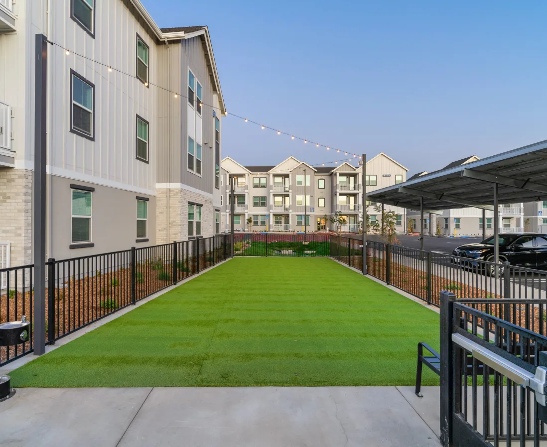 Green turf