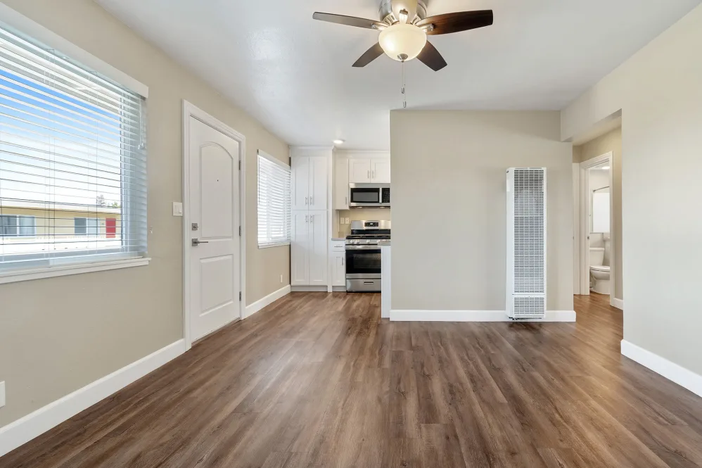Living room and kitchen