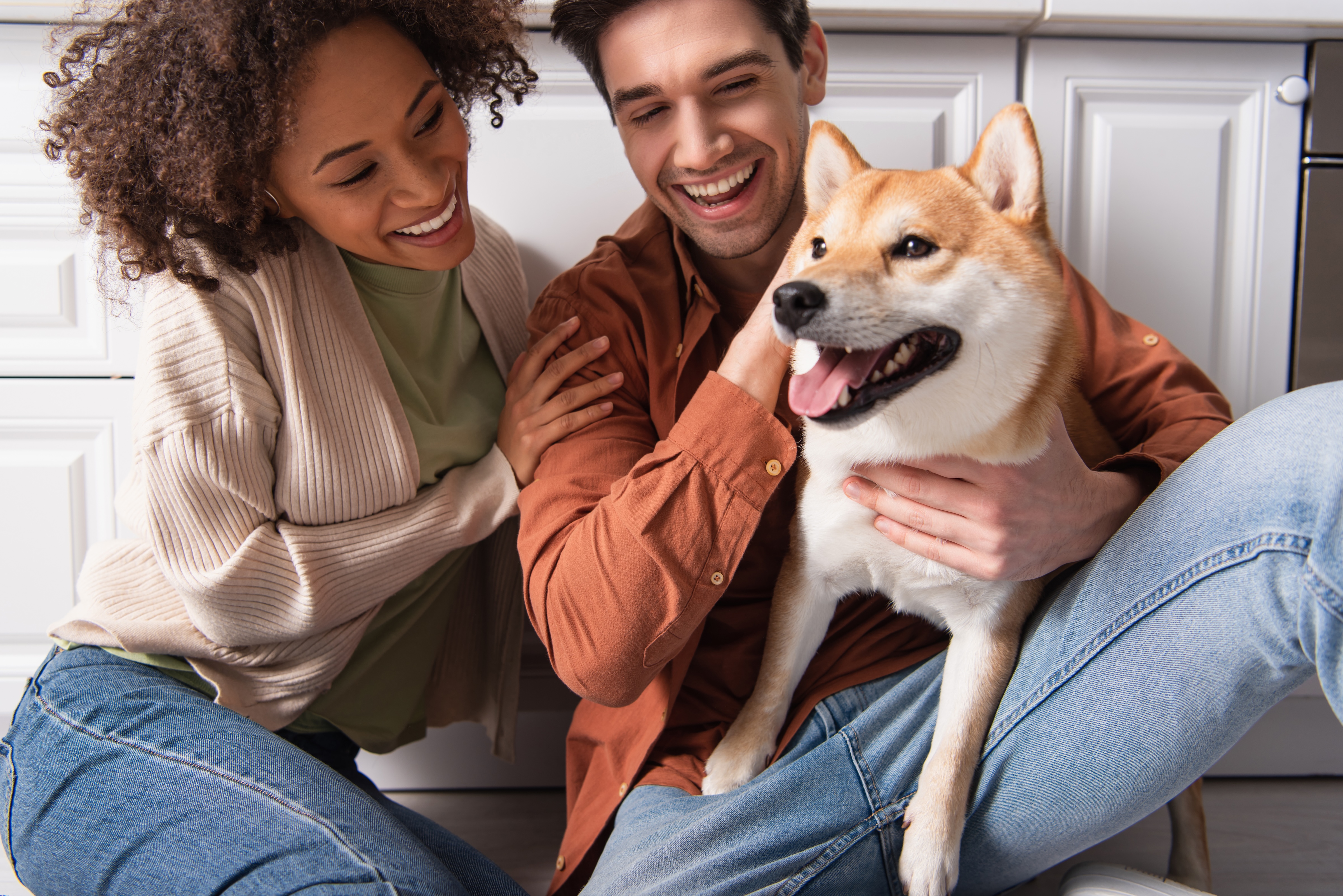 Couple with dog stock photo