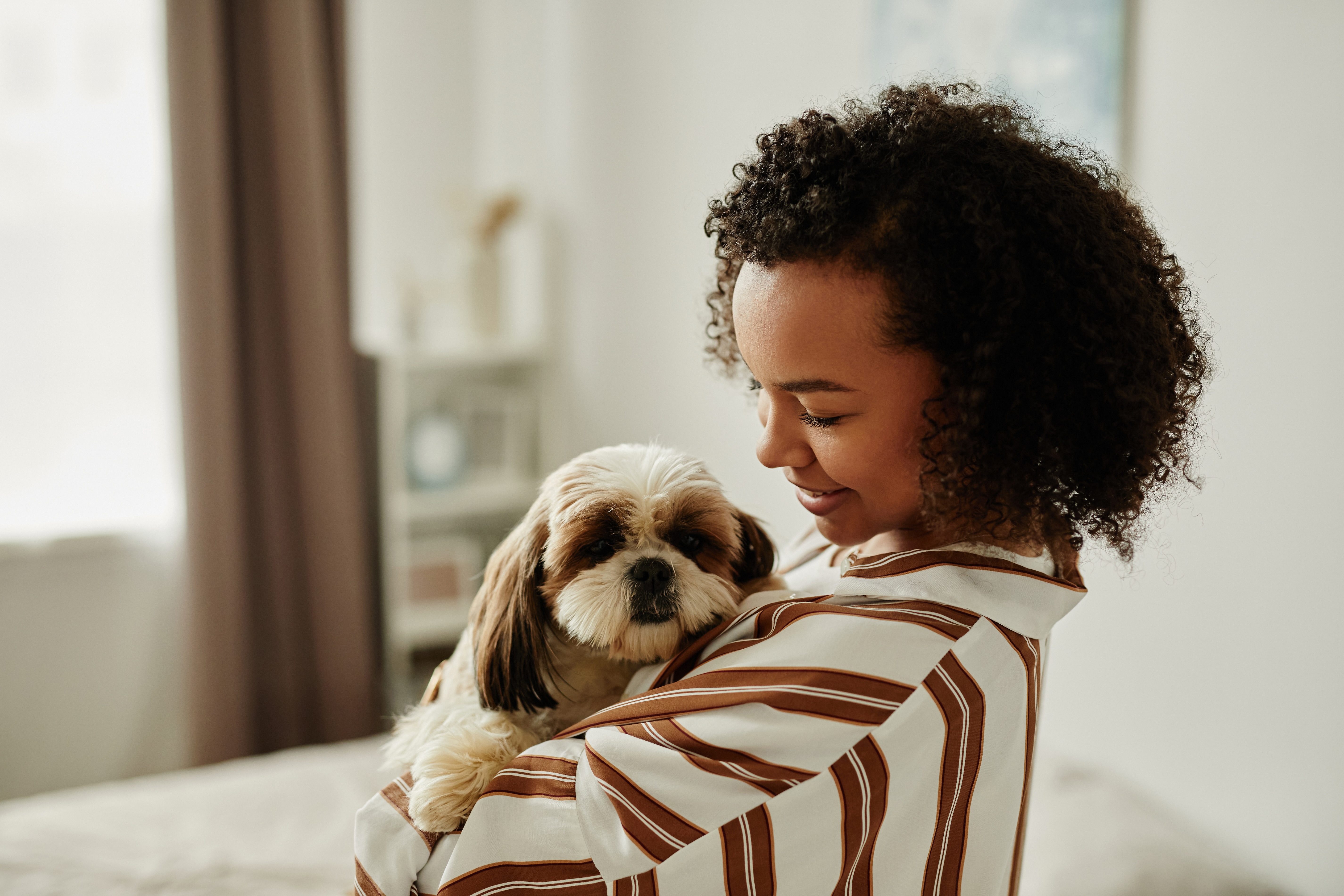 Girl holding dog stock photo