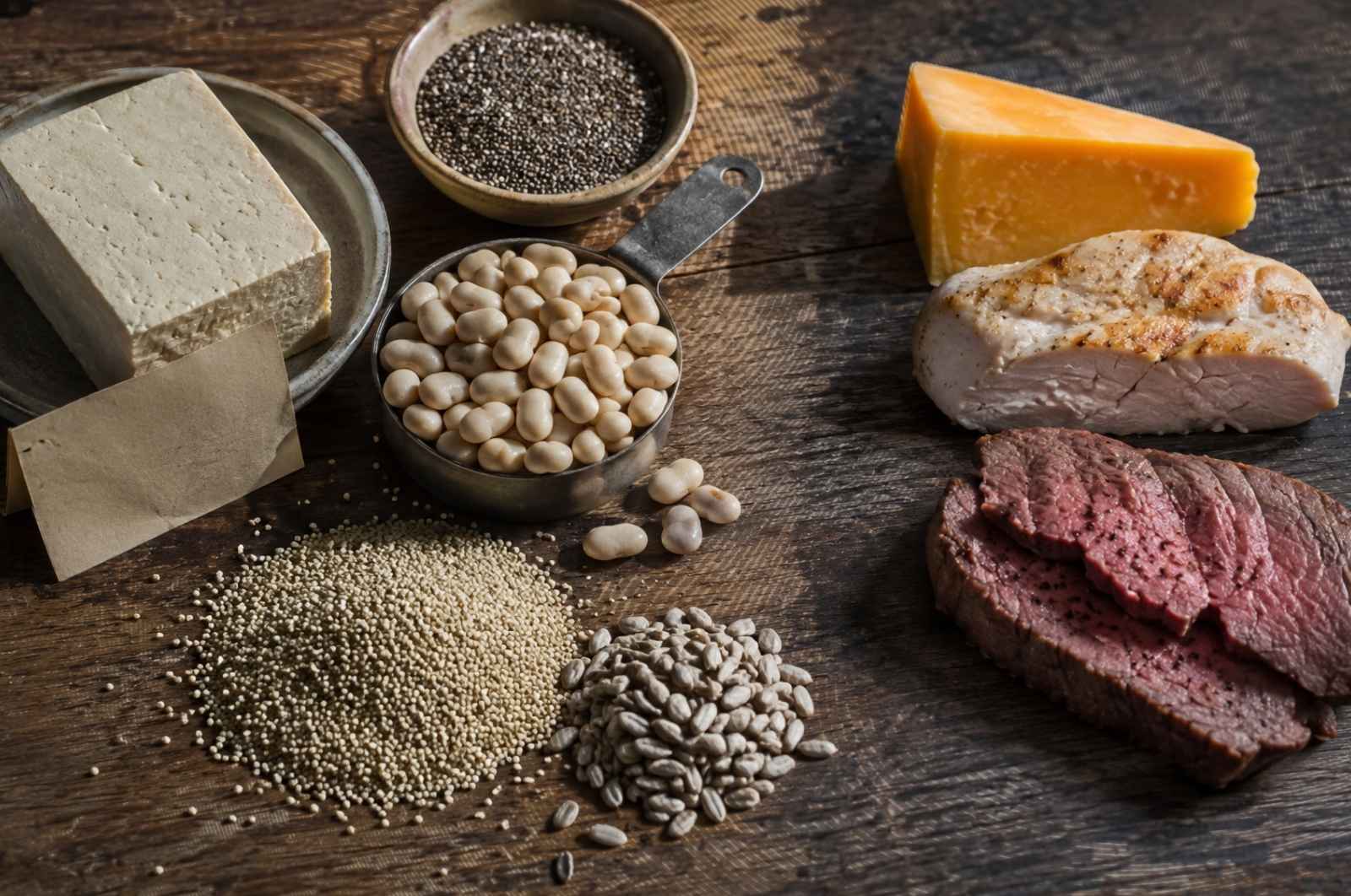 Best-Protein-Source.jpg