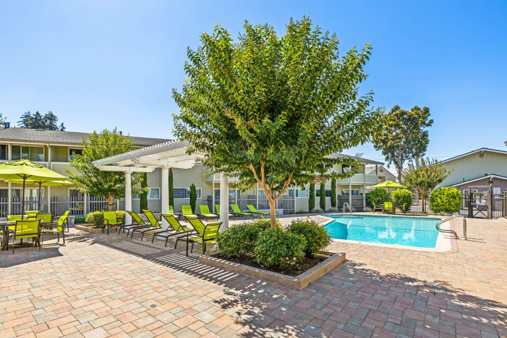 Swimming pool with trees