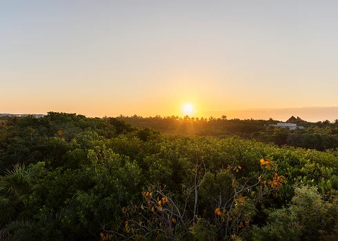 Rooftop infinity pool with sunset ocean views in Tulum