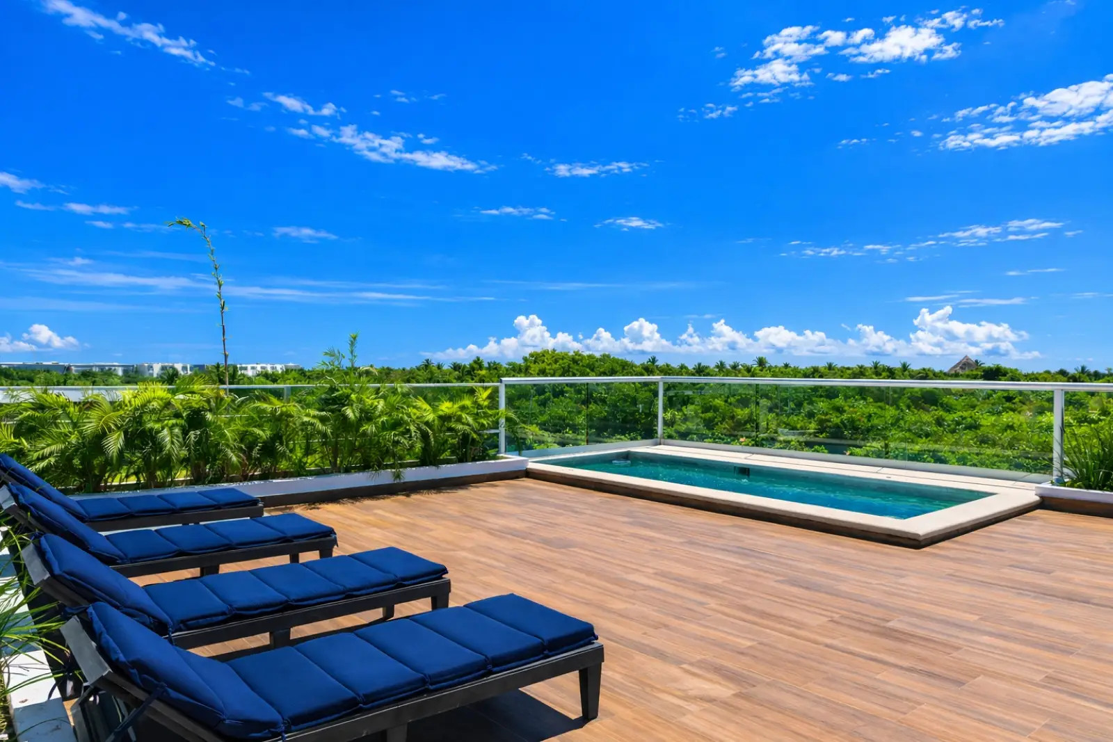 Penthouse rooftop infinity pool overlooking the Riviera Maya jungle