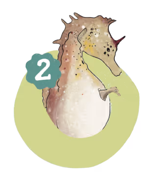 Icoon van een zeepaardje voor de heldenkracht 'In de natuur is niemand hetzelfde'.