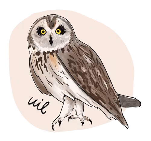 Illustratie van een uil.