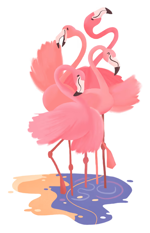 Illustratie van een flamingo.