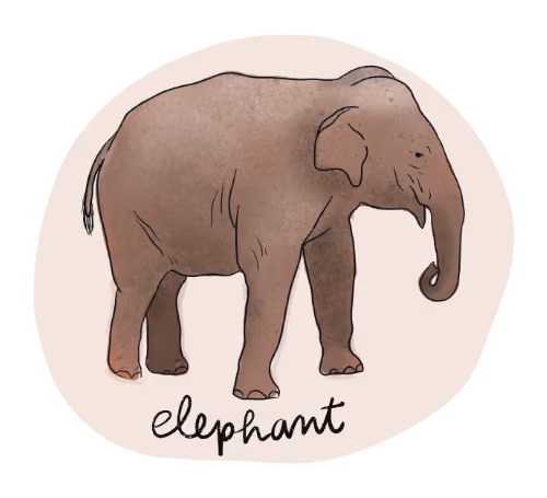 Illustration of a elephant.