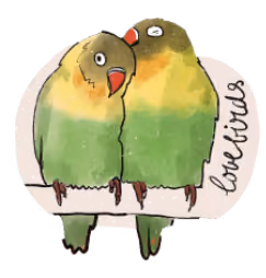 Illustration of a colourful lovebirds.