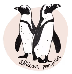 Illustration of a pinguin.
